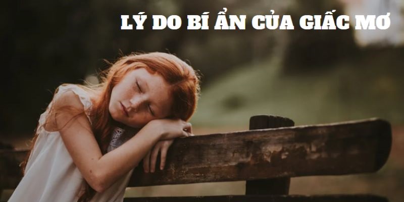 Lý do bí ẩn đằng sau những giấc mơ là gì?