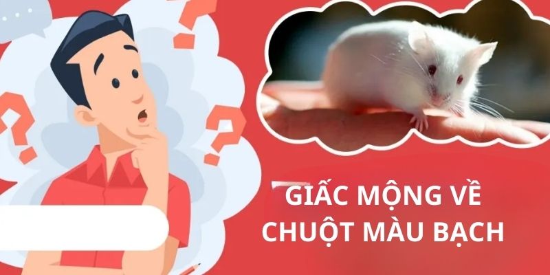 Chiêm bao về con chuột trong thường hợp nó màu bạch