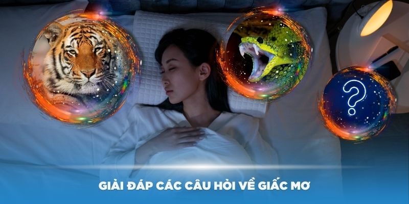 Những lợi ích khi được giải đáp các câu hỏi về giấc mơ