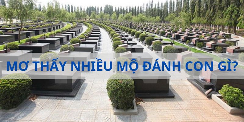 Những con số giúp bạn đón lộc khi mộng gặp nhiều mồ mả