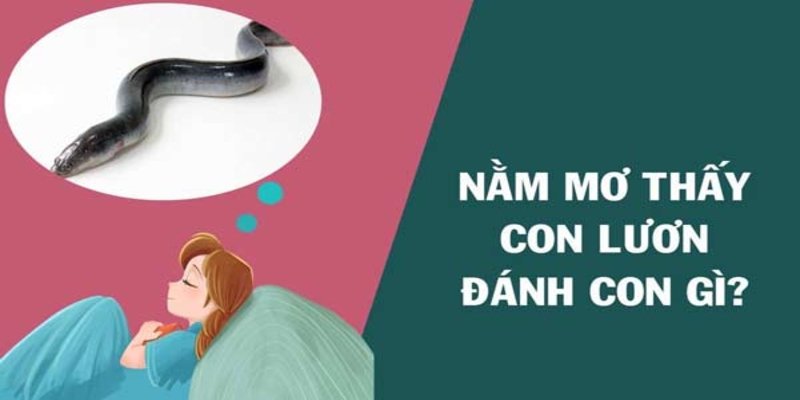 Tham khảo ngay thông tin trên để giải mã giấc mộng thấy lươn 