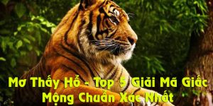 Đánh con gì khi mơ thấy hổ thì nhanh giàu?