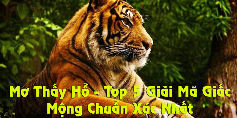 Đánh con gì khi mơ thấy hổ thì nhanh giàu?