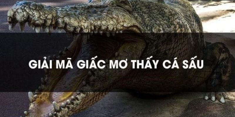 Nằm mơ thấy cá sấu